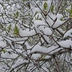 Апрельные осадки в Пермском крае превысили норму на 220%