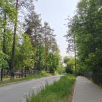 Сладкие мечты, Краснокамск 🌙
