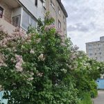 Доброе утро, Краснокамск!
