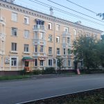 Всемирный день бездомных животных в Краснокамске! 🌟