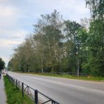 День воздушных шариков в Краснокамске!